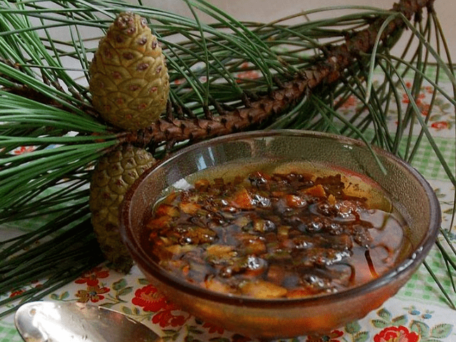 Pine-based soup