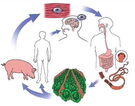 Infect